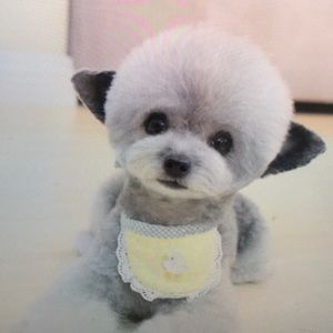 Meet your Posher, Clarissa